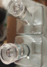 极度空间泡酒容器泡酒专用瓶玻璃酒瓶500ML*2只 储酒容器小酒瓶存酒白酒瓶 实拍图