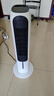 格力（GREE）【冷暖两用】家用空调扇加湿冷风扇遥控净化落地冷风机水冷塔扇制冷小空调 KS-04T65RDg 实拍图