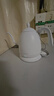 maxwin 家用电热水壶长嘴烧水壶泡茶专用手冲咖啡壶开水壶小型茶艺壶防烫全自动断电茶具功夫茶酒店 0.6L 月光白 实拍图