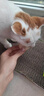 憨憨乐园猫咪零食冻干磷虾饼猫零食成幼猫营养发腮排毛美毛洁齿鸡肉冻干 实拍图