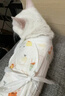 华元宠具（hoopet）猫咪绝育服宠物母猫小狗狗幼猫手术服透气断奶服公猫防舔术后衣服 实拍图