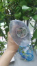 憨憨乐园鱼缸换水器抽水吸便器虹吸管水族箱清洁用品手动款2.6m 实拍图