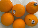新奇士（Sunkist）橙子美国3107进口黑标橙子当季脐橙大果礼盒装 礼盒装 4500g【单果200g+】 实拍图
