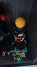 乐高（LEGO）积木拼装城市系列60421 过山车游乐园男孩儿童玩具生日礼物 实拍图