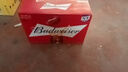 百威（BUDWEISER）瓶装啤酒 美式拉格 经典醇正330ml*24瓶 啤酒整箱批发 苏超畅饮 330mL 24瓶 实拍图