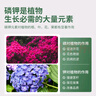 史丹利磷酸二氢钾花肥料花卉专用果树养花用磷钾肥叶面肥500g 实拍图