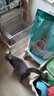 迪尤克（DIYOUKE）全价猫粮 幼猫成猫通用猫干粮 低盐鲜肉美毛 鱼肉味猫粮10kg 实拍图