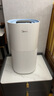 美的（Midea）【小蓝鲸600】无雾空气加湿器净化家用卧室落地式小型工业除菌雾化器女孩礼物国家补贴2Y50 实拍图