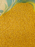东北黄小米 月子米 优质粘糯米脂米油黄米五谷杂粮营养粥粗粮 东北黄小米500g*1袋 实拍图
