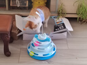 领宠爱(LICHEERS) 猫玩具猫咪转盘四层宠物自嗨神器解闷猫球带羽毛逗猫棒小幼猫逗猫玩具 实拍图