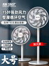 先科（SAST）电风扇/落地扇/台式风扇/台地两用/家用风扇/交流定频/15叶大风量风扇  FD-269 实拍图