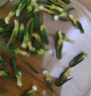匠界养生茶莲子心125g精选莲子芯泡水喝的养生熬夜茶可搭配菊花茶去火 实拍图