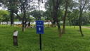 袋鼠妈妈凝时淡纹焕亮眼霜准孕妇护肤品淡化细纹哺乳期黑眼圈眼袋专用 实拍图