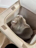 华元宠具（hoopet）猫包外出便携背包猫双肩包狗狗多猫拉杆宠物拉杆箱大容量行李箱 月光宝盒-拉杆包（带小熊包） 适合体重25斤内猫咪，10斤内狗狗 实拍图