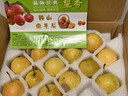 梦宛怡辽宁鞍山特产南果梨东北当季酒香水梨子现摘新鲜酥脆南国梨水果 净重4.5斤精品中果70-90g约30粒 精品果 实拍图