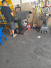 固特异（Goodyear）汽车轮胎 195/65R15 91V EF1 SPORT鹰驰F1酷跑 卡罗拉/朗逸/宝来 实拍图