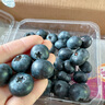 佳沃 JOYVIO云南蓝莓甜蜜花香系列 18mm+ 4盒礼盒装 约125g/盒 生鲜水果 实拍图