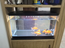 喜高超白玻璃鱼缸智能鱼缸免换水小型客厅水族箱一体式过滤氧气鱼缸 黑色-鱼缸标配 485*225*283mm 实拍图