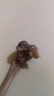 CP正大食品樱桃谷鸭半片鸭1.4斤 生鲜冷冻 鸭肉鸭腿鸭锁骨 麻辣鸭货 实拍图