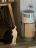霍尼韦尔（Honeywell）宠物空气净化器吸猫毛除过敏源猫猫搭子 猫毛净化器杀菌消毒除异味【家电国家补贴】KJ360F-C22W 实拍图