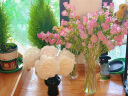 爱已装糖 水晶玻璃花瓶假花绿植水培容器客厅装饰摆件插花瓶凤尾竹25cm 实拍图