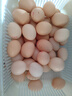 山林谷物鲜鸡蛋50g正负5g天然营养新鲜柴鸡蛋月子蛋早餐买菜 50枚 50g 实拍图