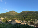 绿之源除湿袋剂可挂式衣柜除湿吸湿吸潮宿舍房间防潮袋玫瑰250g*10 实拍图