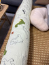 洁丽雅洁丽雅抱枕睡觉长条抱枕侧睡夹腿神器糖果靠枕 可拆洗1.1m 小恐龙 实拍图