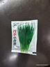 春蝶蔬菜种子四季播盆栽阳台庭院黄瓜豆角番茄甜瓜易种籽孑大全 四季小香葱【原装1包 约800粒】 一包(试种贵在快递费) 实拍图