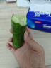 【超市品质】山东新鲜水果黄瓜嫩青瓜生吃蘸酱生鲜蔬菜减肥搭配 山东水果黄瓜 2斤 特惠装 实拍图