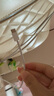 Apple/苹果 60W USB-C编织充电线-1米 苹果充电线手机充电线原装充电线数据线适用iPhone/iPad/AirPods 实拍图