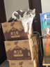 ERGOBABY宠物狗狗猫咪剃脚毛器剃毛修剪器小狗猫爪脚毛掌指缝逗猫神器 实拍图