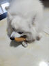 贵为（GiGwi）狗玩具磨牙棒狗狗磨牙玩具幼犬小型犬木塑鹿角小号宠物用品玩具 实拍图