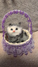亦趣会叫仿真提篮猫咪毛绒玩具篮子猫玩偶花篮猫女孩儿童生日礼物 提篮蓝色蕾丝黄头猫带叫声 实拍图