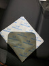 绿之源除湿片除湿袋干燥剂吸湿袋除湿剂衣柜被子除湿片20g*10片 实拍图
