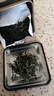 京东京造 2025新茶特级信阳毛尖100g栗香明前嫩芽叶绿茶茶叶自己喝 自营 实拍图