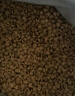 伯纳天纯经典系列通用蓝猫金渐层美短成猫猫粮毛球管理10kg/20斤 实拍图