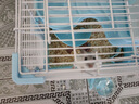 宠尚天（Jonsanty）仓鼠笼子超大别墅双层卡扣铁丝小屋窝金丝熊用品便宜套餐装 蓝色仓鼠笼 大城堡28*21*30cm 实拍图