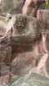 得利斯 黑猪前排2斤 黑猪肉生鲜 精品猪排骨 精排骨 黑猪肋排小排 免切 实拍图