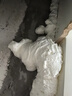 三棵树漆（SKSHU）聚氨酯发泡胶 泡沫胶发泡剂 泡沫填缝剂门窗密封隔热保温堵洞粘接 枪管一体【900g*2瓶】 附带胶嘴 实拍图