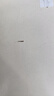 威王84消毒液次氯酸钠含氯消毒剂衣物漂白消毒水杀菌除菌剂1kg 实拍图