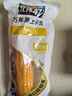 北纬47°黄糯玉米4斤(200g*10根)东北甜黏鲜玉米棒真空包装  早餐苞米 实拍图