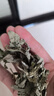 同仁堂北京同仁堂艾叶500g陈艾草泡脚药包艾草包纯艾叶泡脚中药材足浴包 实拍图