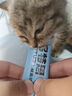 多特思(DOTUS) 猫零食猫条混合口味15g*55支整桶装成猫幼猫咪零食湿粮 实拍图