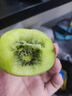 佳沛（zespri）新西兰绿奇异果 8个装单果重约123-135g 源头直发一件包邮 实拍图
