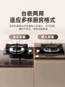 康佳（KONKA）【国家补贴】燃气灶煤气灶双灶具 5.2kW九孔鸳鸯火台式嵌入式 钢化玻璃灶台 JZT-B900Y（天然气） 实拍图