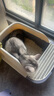汪野君养猫新手套装猫砂盆铲喂食喂水器绒布猫窝猫砂用品组合基础四件套 实拍图