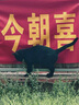 米妍（meyarn）正畸牙膏含氟美白高氟防蛀牙膏青少年成人矫正牙齿带牙套专用110g 实拍图