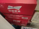 百威啤酒TOP淡色拉格450ml*18听整箱装新老包装交替发货  实拍图