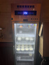 钦樽全自动商用酸奶机酸奶发酵冷藏柜大容量发酵箱水果捞立式冷藏发酵机酿米酒机奶茶店餐饮酸奶设备 288L升级款【定时+发酵+冷藏+灭菌】 实拍图